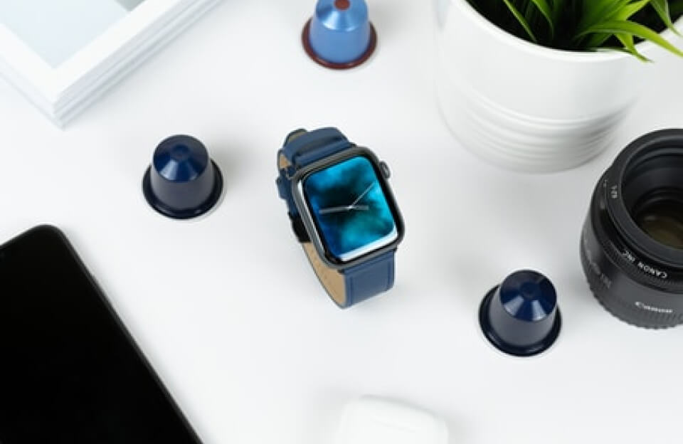 Leia mais sobre o artigo Dogs Do Their Duty for Science